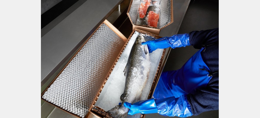Cascades launches expansion plan in the isothermal packaging market 