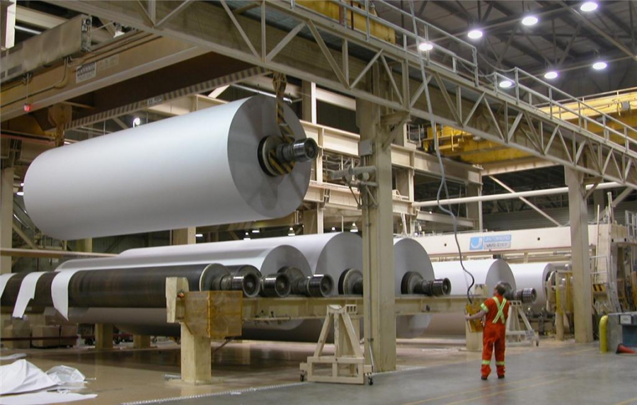 Nga thúc đẩy đầu tư chuyển đổi sang sản xuất giấy bao bì