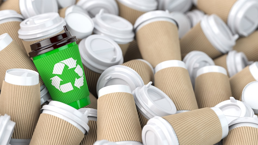 City of Memphis introduces paper cup recycling