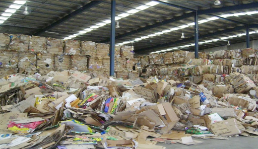 Ngành giấy trước việc thực thi EPR